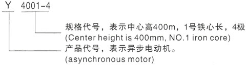 西安泰富西玛Y系列(H355-1000)高压YE2-315M-2三相异步电机型号说明